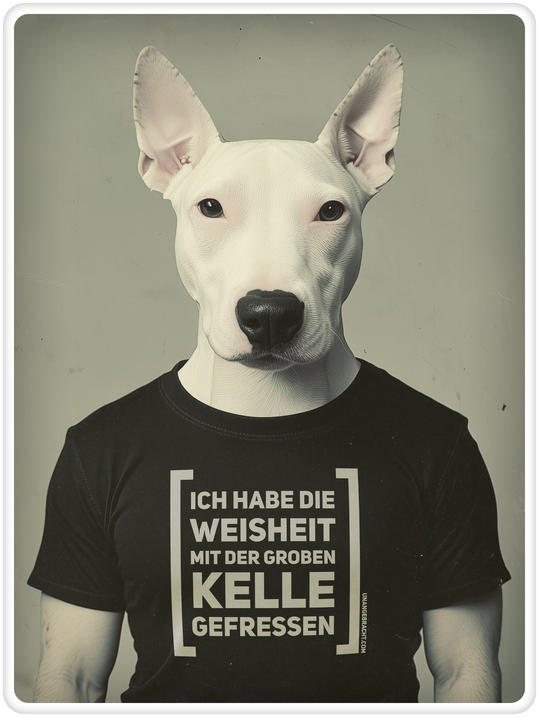 T-Shirt · Unisex · "Ich habe die Weisheit mit der groben Kelle gefressen" · Bella + Canvas 3001