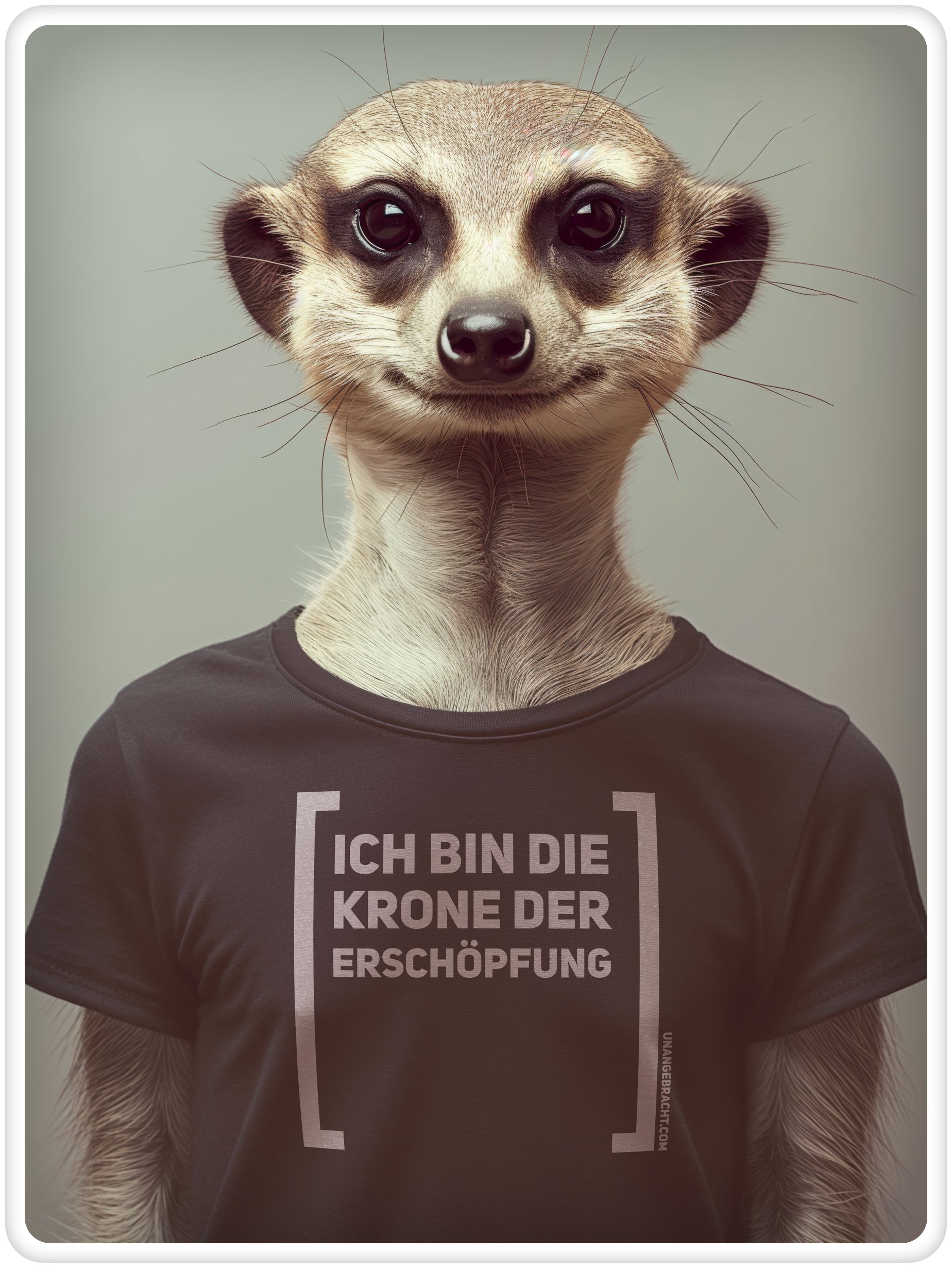 T-Shirt · Unisex · "Ich bin die Krone der Erschöpfung" · Bella + Canvas 3001