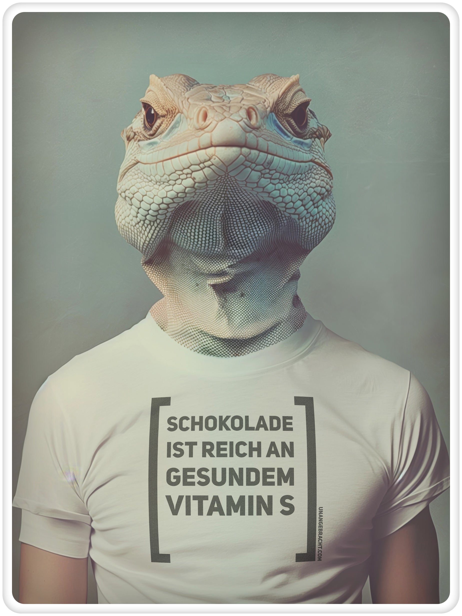T-Shirt · Unisex · "Schokolade ist reich an gesundem Vitamin S" · Bella + Canvas 3001