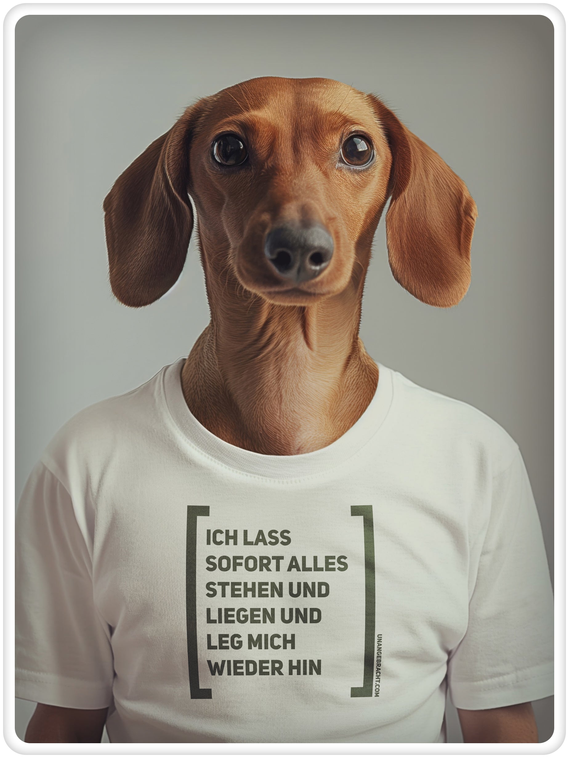 T-Shirt · Unisex · "Ich lass sofort alles stehen und liegen und leg mich wieder hin" · Bella + Canvas 3001