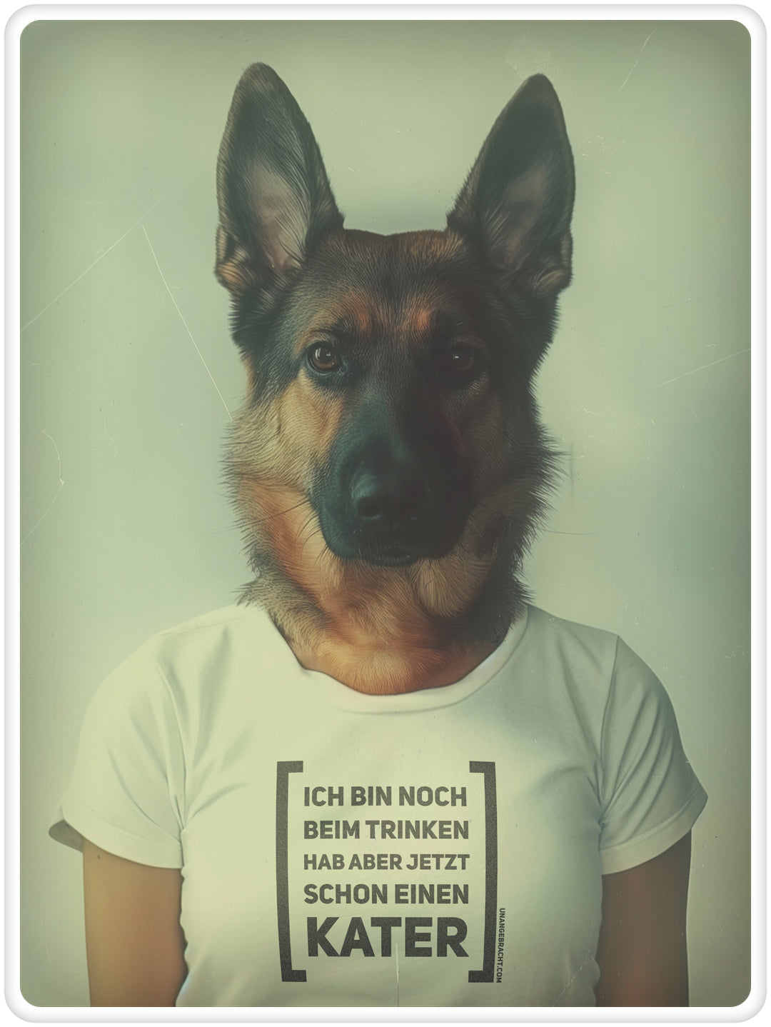 T-Shirt · Unisex · "Ich bin noch beim Trinken hab aber jetzt schon einen Kater" · Bella + Canvas 3001