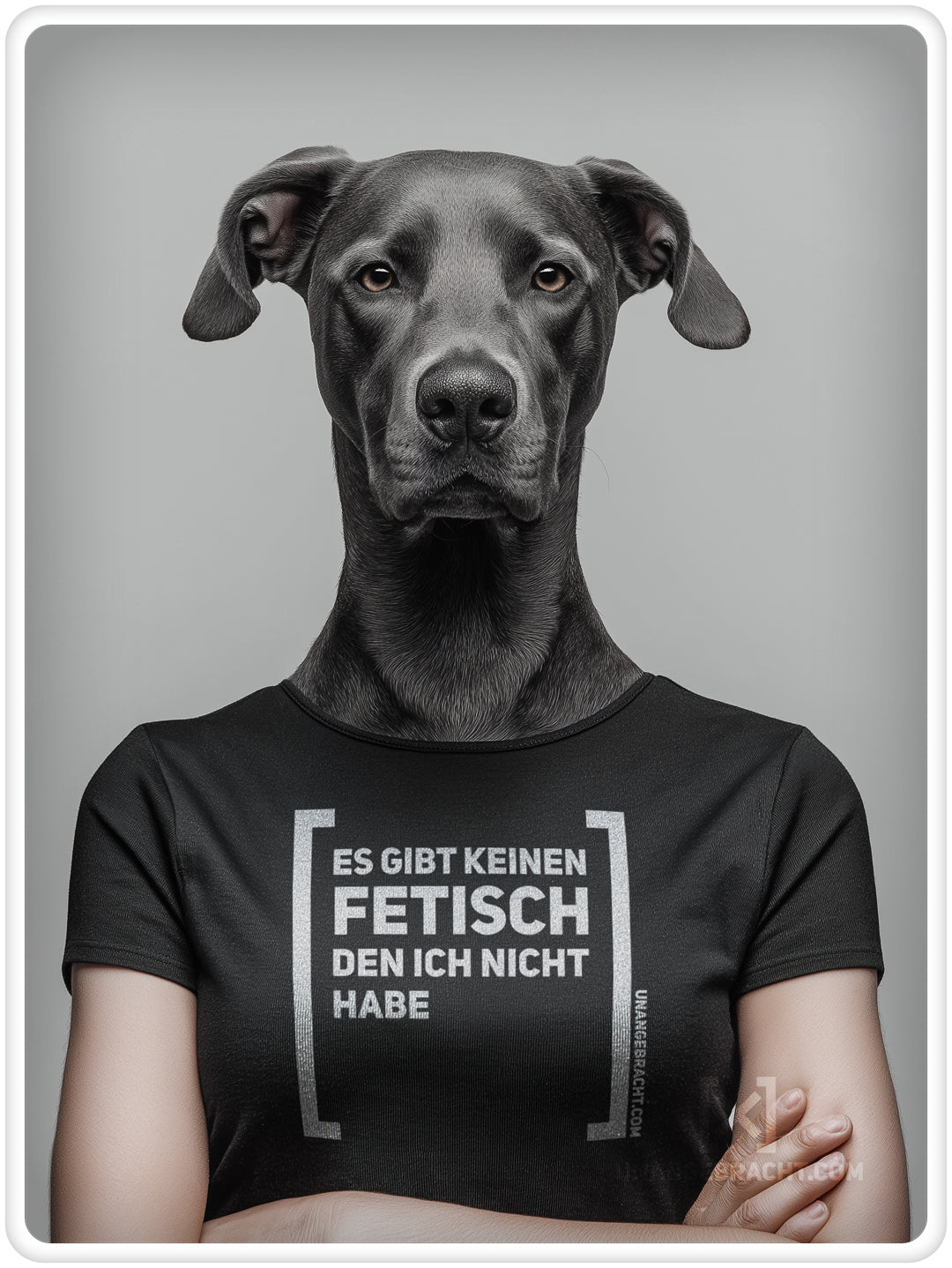 T-Shirt · Unisex · "Es gibt keinen Fetisch den ich nicht habe" · Bella + Canvas 3001