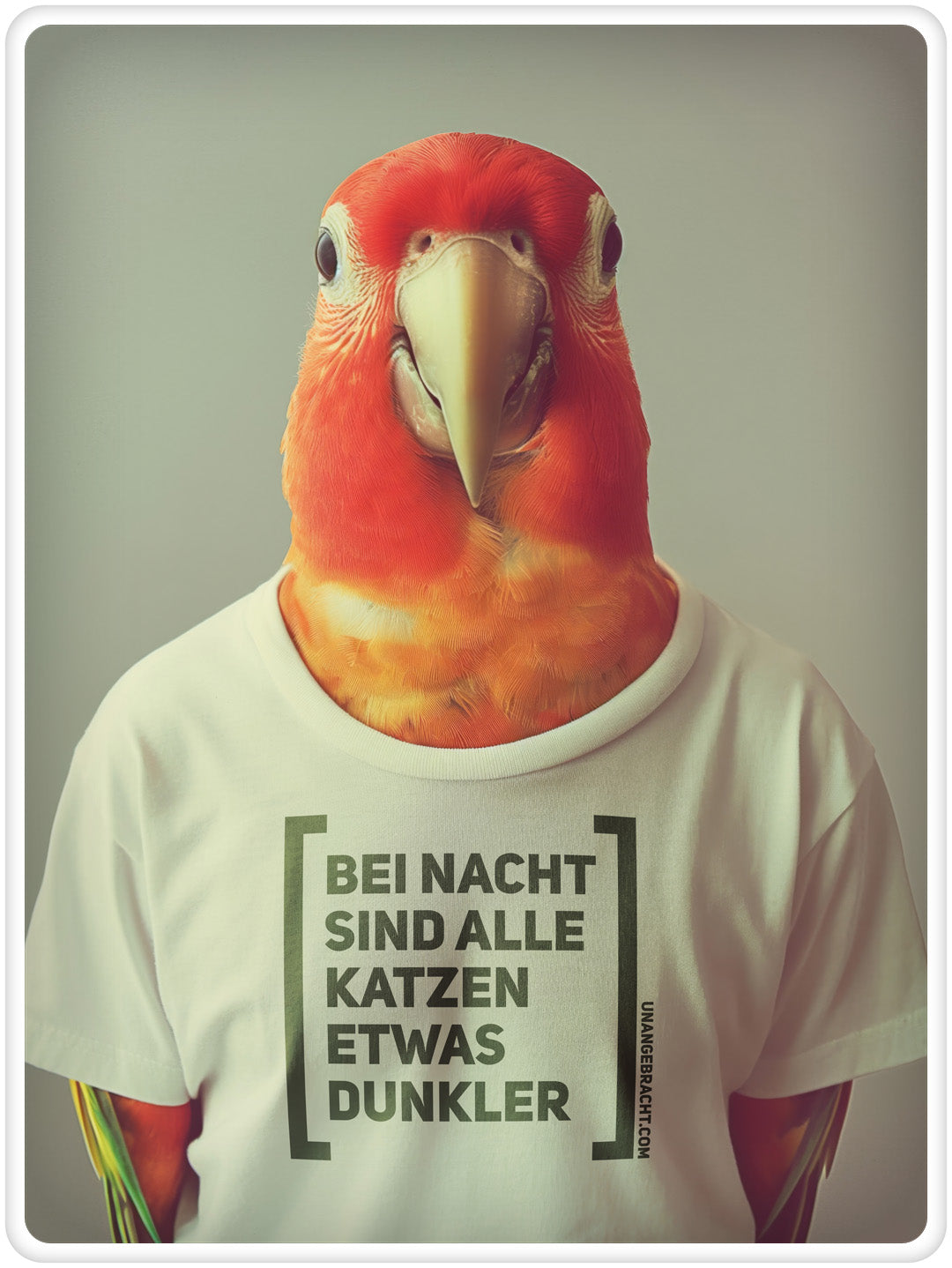 T-Shirt · Unisex · "Bei Nacht sind alle Katzen etwas dunkler" · Bella + Canvas 3001