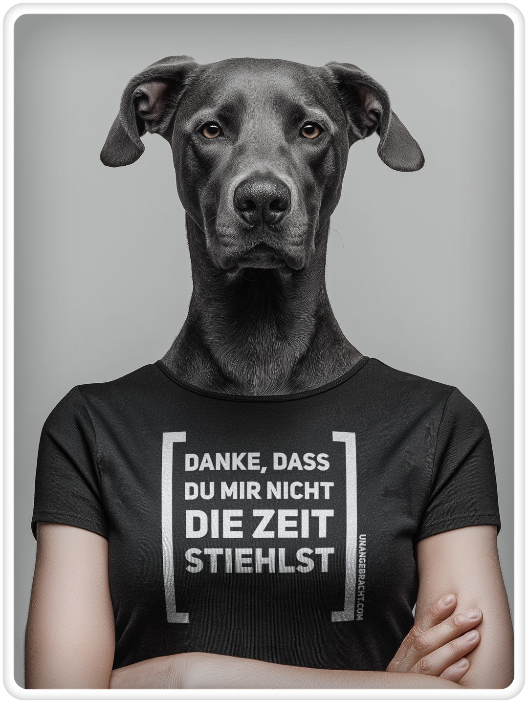 T-Shirt · Unisex · "Danke, dass du mir nicht die Zeit stiehlst" · Bella + Canvas 3001