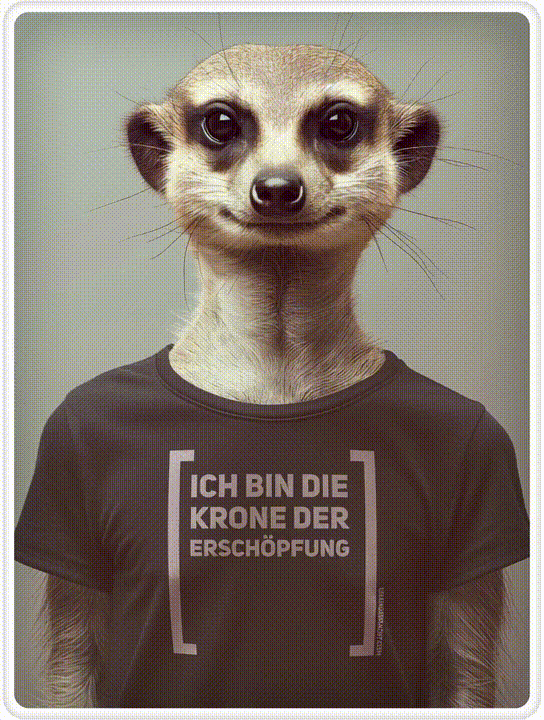 T-Shirt · Unisex · "Ich bin die Krone der Erschöpfung" · Bella + Canvas 3001