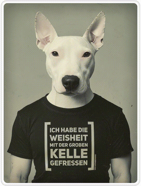 T-Shirt · Unisex · "Ich habe die Weisheit mit der groben Kelle gefressen" · Bella + Canvas 3001